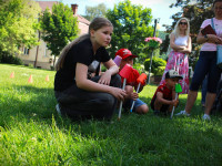 IMG_2903.jpg