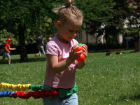 IMG_2912.jpg