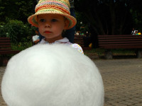 IMG_2931.jpg