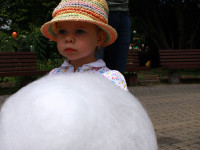IMG_2932.jpg