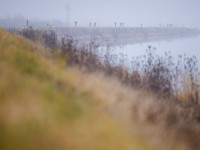 0M6A5408