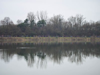 MAR_0739-2